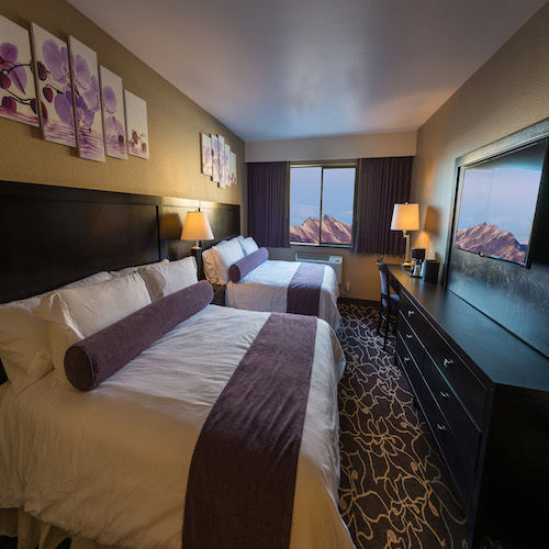 doublegarter 500x500